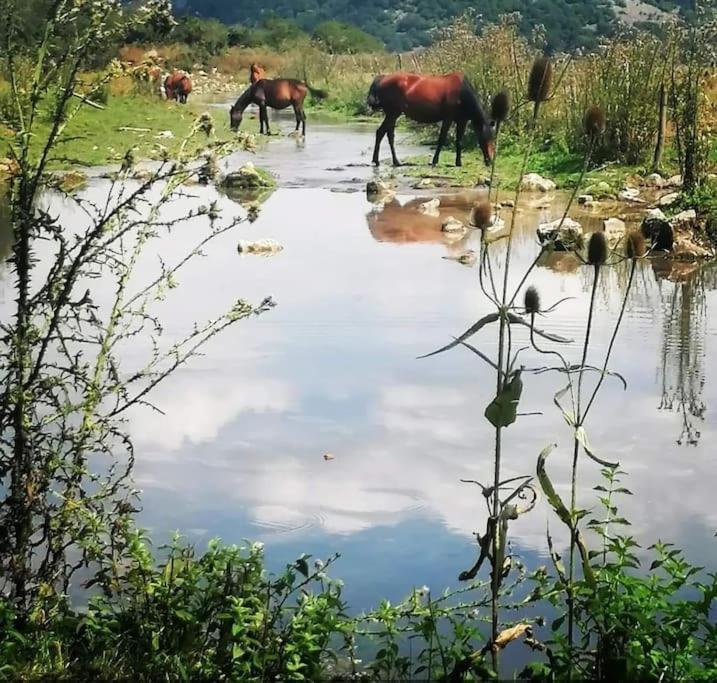 Villa Il Borgo Della Zittola Montenero Val Cocchiara Esterno foto