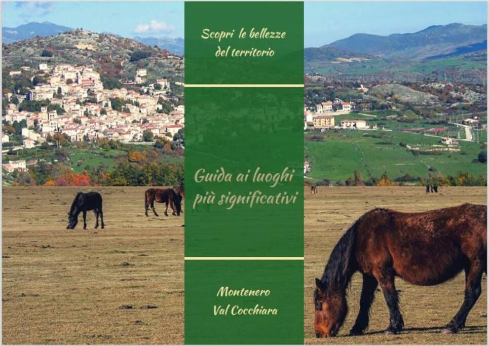 Villa Il Borgo Della Zittola Montenero Val Cocchiara Esterno foto